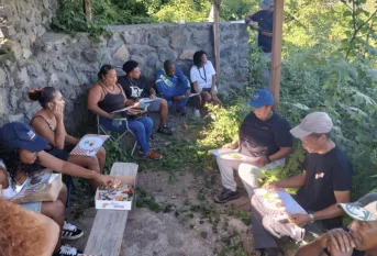 Visite d'une exploitation maraîchère